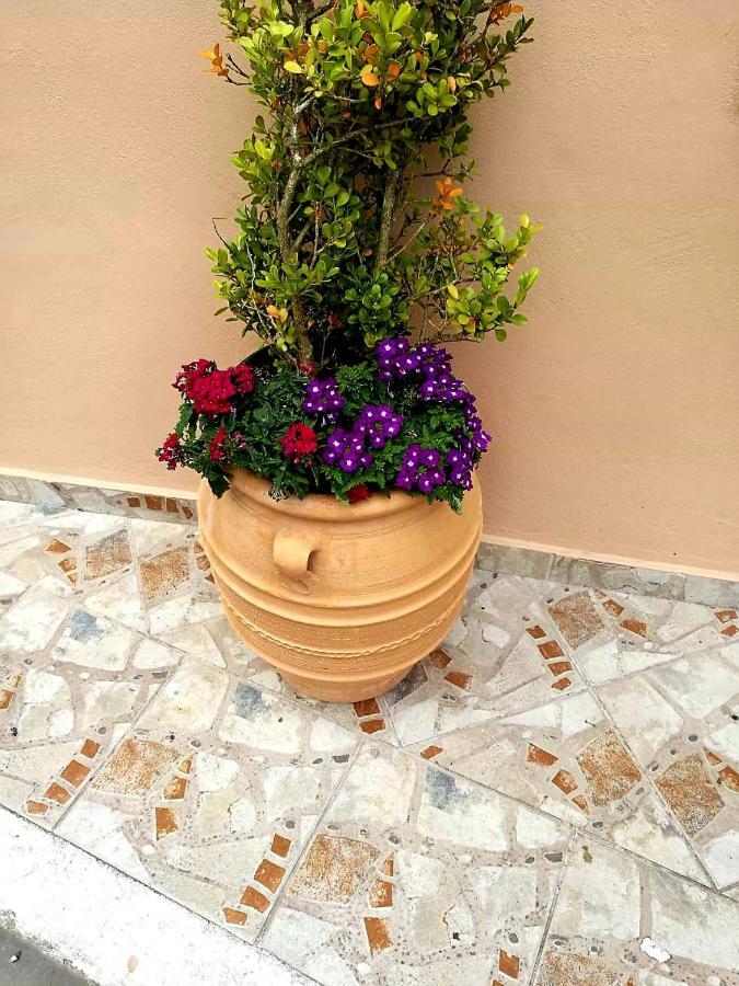 Joy New Port Studio Corfu Town Exterior photo